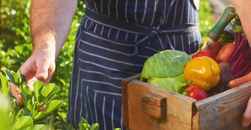 Equipment for fresh meals from farm to finish