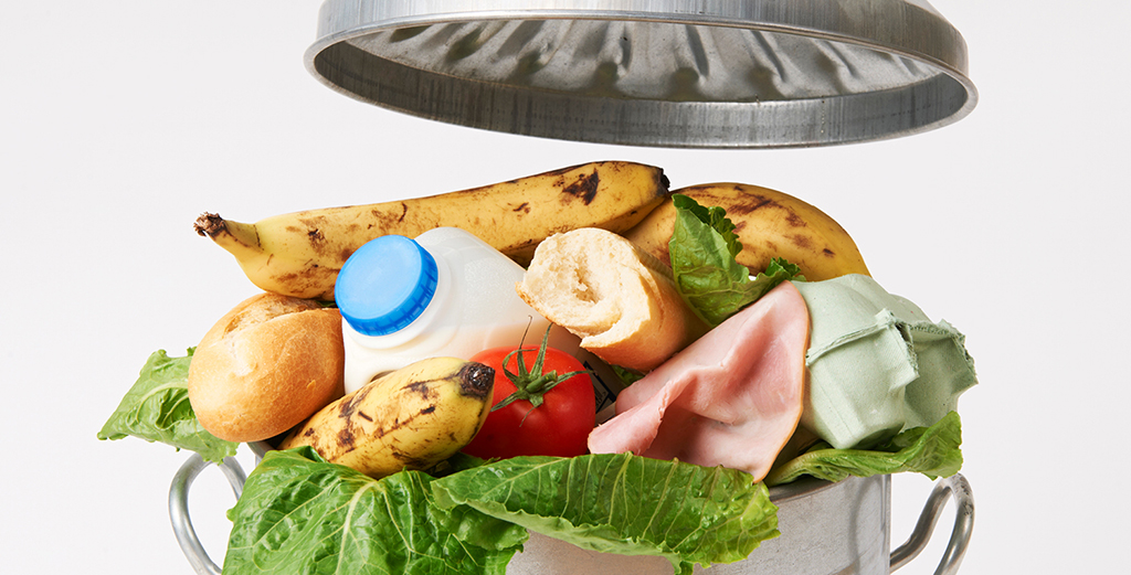 Equipment made to improve production and reduce food waste