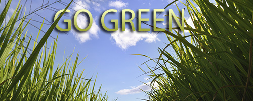 How to save green, by going GREEN today