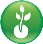 New Products Development