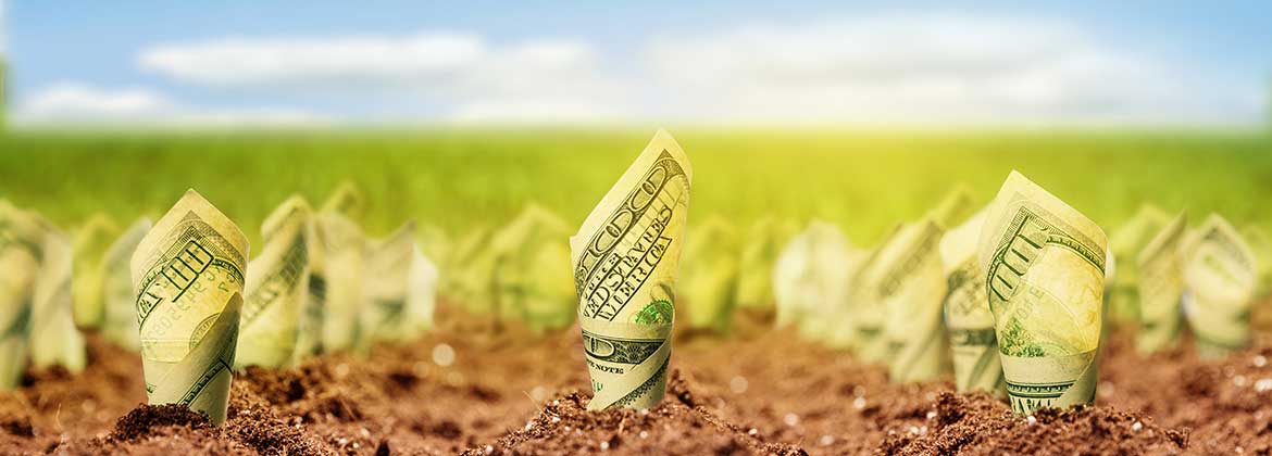 Green-wise Kitchens that save